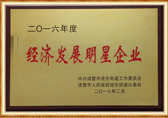 Economic Development Star Enterprise